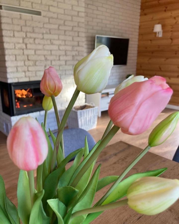 Domek Nalesie Dudowizna Kültér fotó